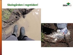 Bilde 19