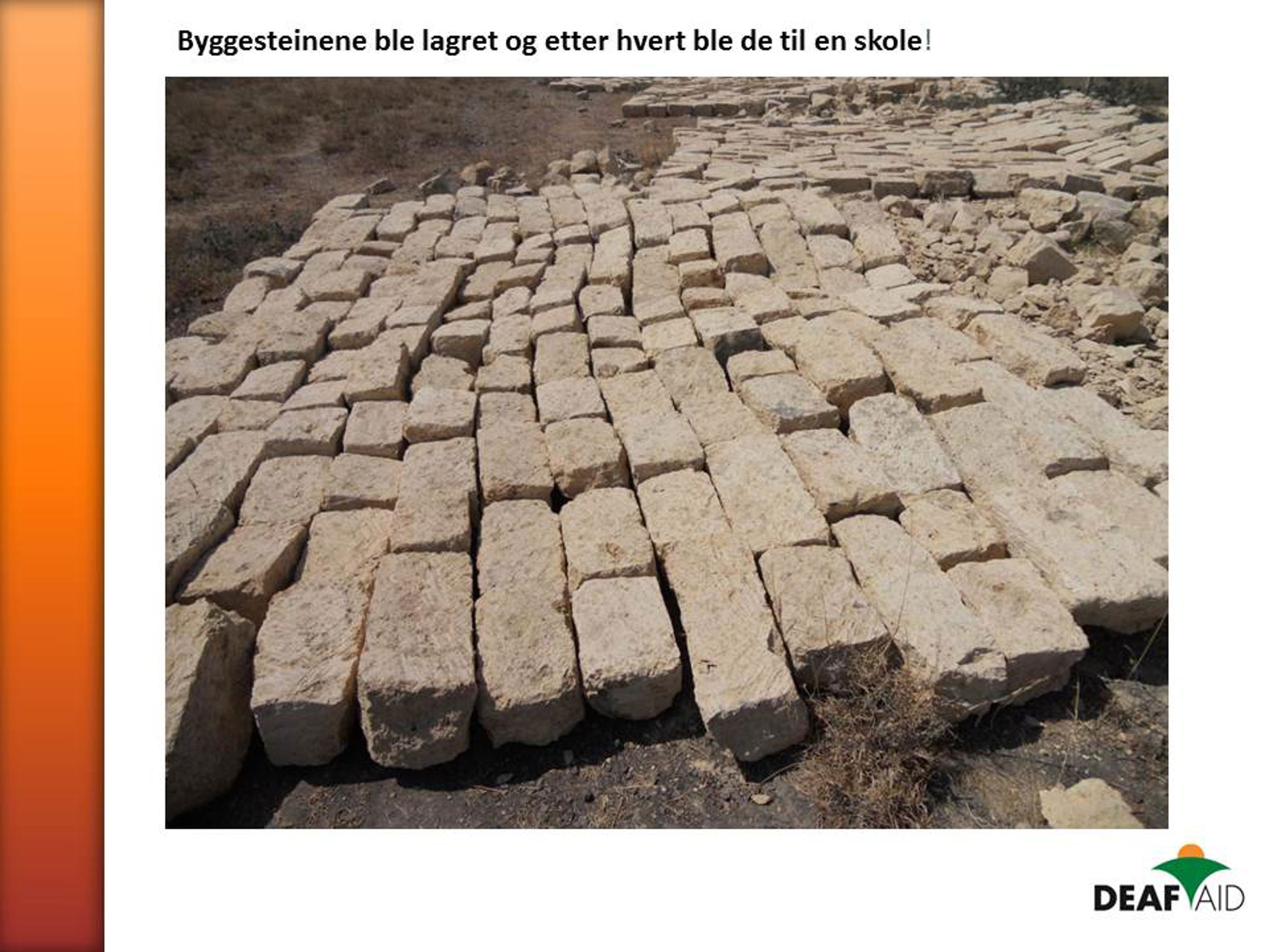 Bilde 5